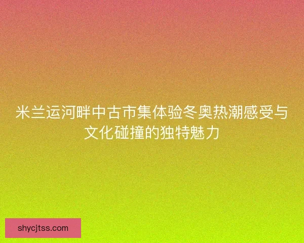 米兰运河畔中古市集体验冬奥热潮感受与文化碰撞的独特魅力